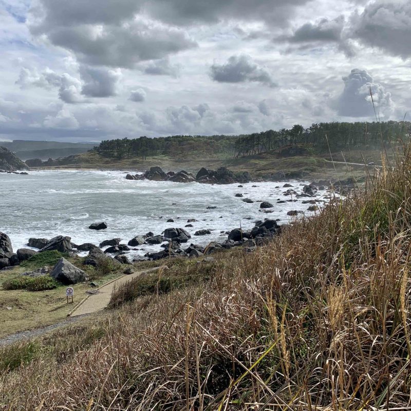 Tour 2: 2022年春・ 北部ツアー  5⽇間・7⽇間ツアー 6月4日(土)〜