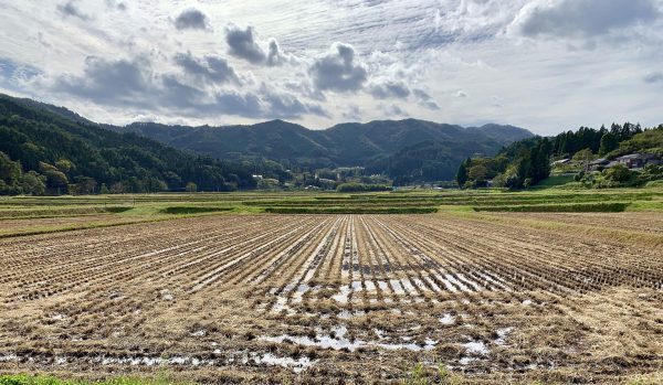 2025 Revitalize OFUNATO 6-day Hiking Tour Mon. Oct 20th – Sat. Oct 25th, 2025 - Image 8