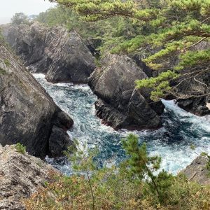 2025 Revitalize OFUNATO 6-day Hiking Tour Mon. Oct 20th – Sat. Oct 25th, 2025